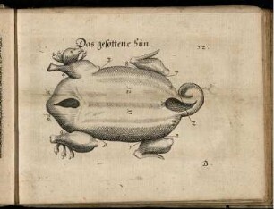 Ill. "Das gesottene Hun." zu S. 32