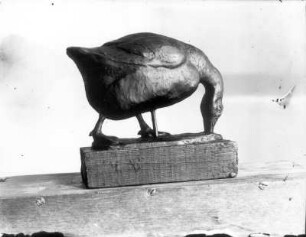 Laufende Gans & Grasende Gans : Grasende Gans. Bronze (vor 1945; E. Richter). Dresden-Südvorstadt, Eisenstuckstraße, Atelier der Künstlerin