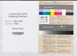 Entnazifizierung Franz Ernst, geb. 10.05.1898 (Geschaeftsfuehrer)
