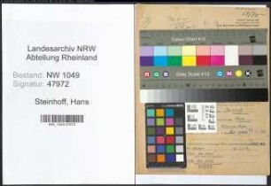Entnazifizierung Hans Steinhoff , geb. 20.01.1898 (Ingenieur)
