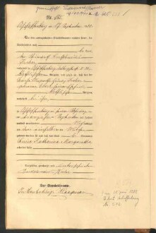 Standesamtsbuch der Stadt Aschaffenburg: Geburten 365/1900 - 184/1901