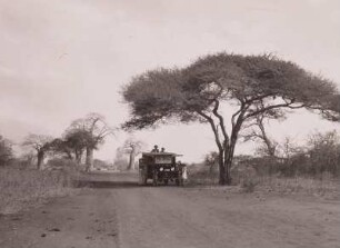 Autostraße Kap-Kairo, Ugogo-Steppe : Tanganyika Territory (heute: Tansania). Autostraße Kap-Kairo, ausgebauter Teil zwischen Dodoma und Iringa in der Ugogo-Steppe, 1936