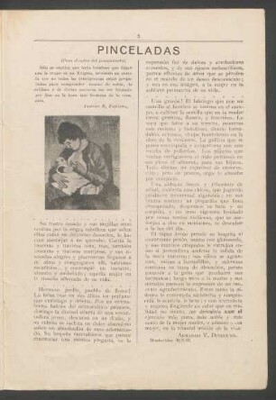 Pinceladas : (Para el autor del pensamiento).