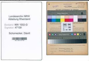 Entnazifizierung David Schomecker, geb. 01.12.1884 (Schuhmacher)