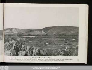 101. Westausläufer des Hohen Atlas.