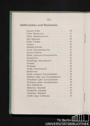 Süßkirschen und Weichseln.