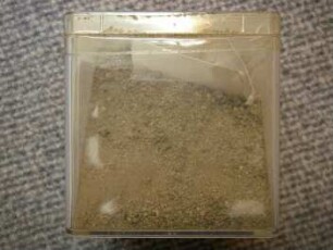 Sand, Bernstein (Pełczyce)