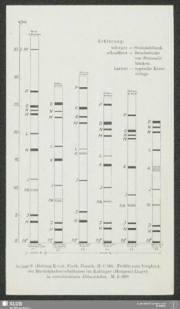 Anlage 9 (Beitrag Knak, Freib. Forsch.-H. C90). Profile zum Vergleich der Mächtigkeitsverhältnisse im Kalilager (Hangend-Lager) in verschiedenen Abbautiefen