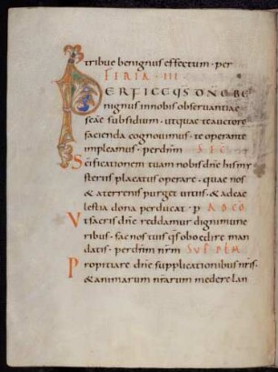 Zierinitiale / Randleisteninitiale mit Rankenbesatz: P8erfice quaesumus domine benignus)