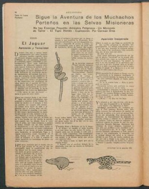 Sigue la aventura de los muchachos porteños en las Selvas Misioneras