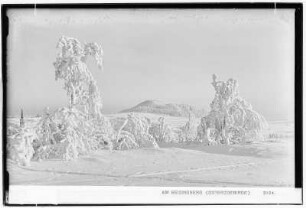 Osterzgebirge. Am Geisingberg bei Altenberg