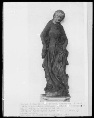 Synagoga
