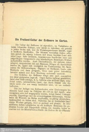 Die Freiland-Cultur der Erdbeere im Garten