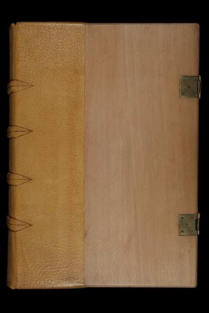 Trojanerkrieg : Ms. germ. fol. 1