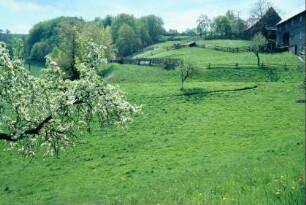 Blick über Wiesen und Gärten hinter Gehöften