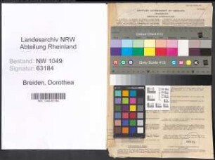Entnazifizierung Dorothea Breiden , geb. 07.07.1909 ()