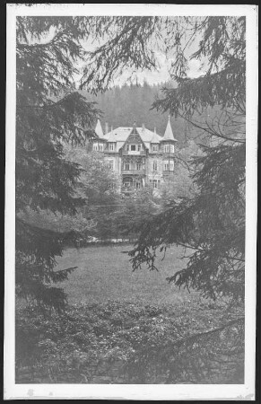 Waldbärenburg. Haus Bergfried