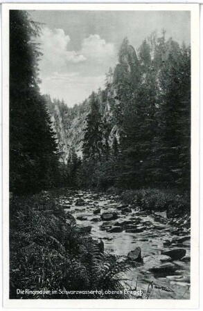 Schwarzwassertal. Ringmauer