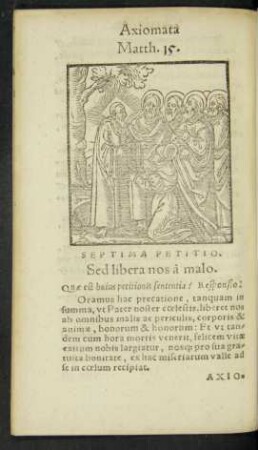 Septima Petitio.