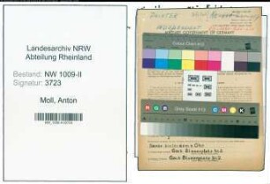 Entnazifizierung Anton Moll , geb. 05.02.1896 (Malermeister)