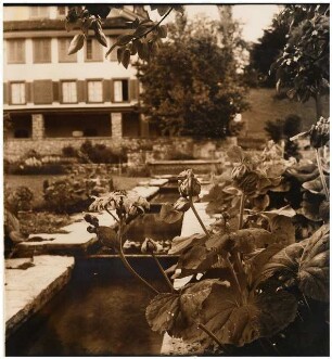 Garten Suidter, Luzern: Wasserbecken