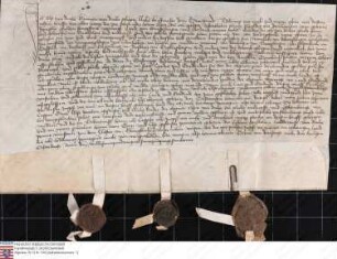 Elfe von Trohe (Drahe), eheliche Hausfrau des verstorbenen Henne von Trohe,, verschreibt den Eheleuten Curd von Ehringshausen (Eringshusen) und ih...
