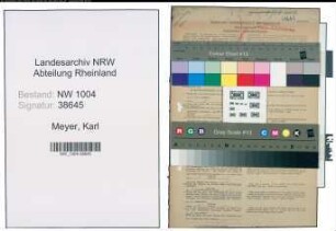 Entnazifizierung Karl Meyer , geb. 05.05.1899 (Kaufmaenischer Angestellter)