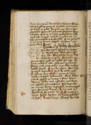Dominica secunda post octavam epiphanie. (T13). Extendens manum …