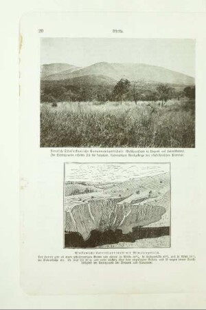 Deutsch-Ostafrikanische Savannenlandschaft (Buschgrasland in Ungoni auf Lateritboden)