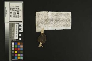 Jugenheim: Litera venditionis qua Arnoldus Schuwe de Gugenheim annuam pensionem duorum maldrorum siliginis Capitulo Ecclesie St. Johannis Mogunt. ...