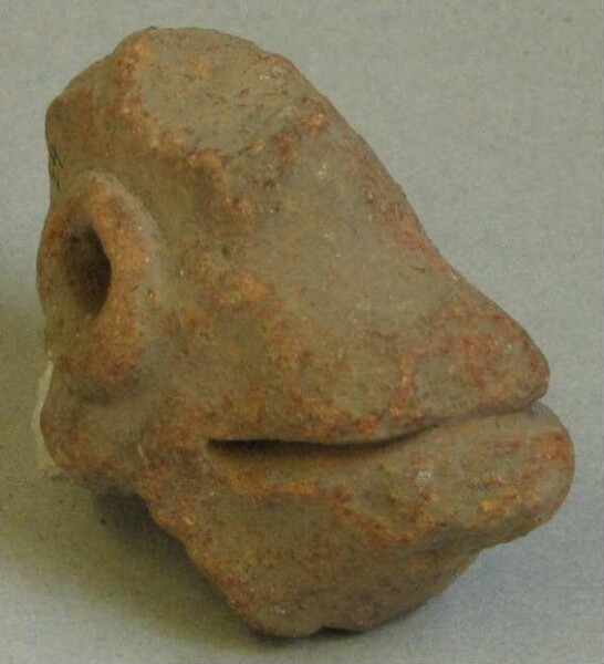 Animal head made of clay