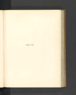 Tafel VII.