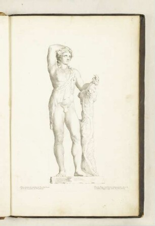 Statue antique de marbre de Bacchus haulte de 6. pied 1/2 p. au palais des Thuilleries.