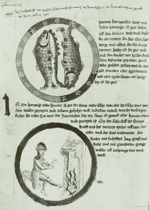 Illumination eines Lehrbuchs der Astronomie: :Schriftspiegel und Medaillons mit Tierkreiszeichen Fische und Mnatsbild Februar mit sich wärmenden Mann