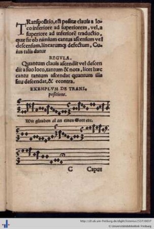 Cap. VIII. De Clavium Transpositione.