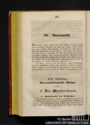 A. Der Maulbeerbaum.