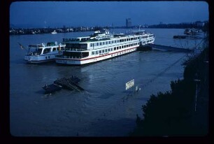 Ausflugsdampfer bei Hochwasser in Bonn am Rhein