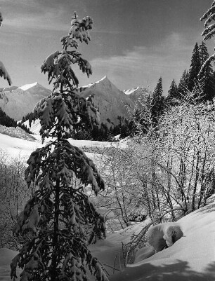 Gebirgslandschaft im Winter (vielleicht in den Alldäuer Alpen)