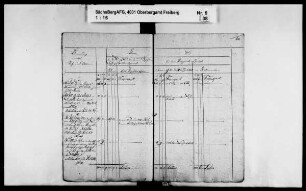 Revision des Bergamts Altenberg mit Berggießhübel und Glashütte, Band: Faszikel [Halbmond]