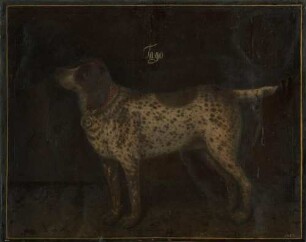Der Jagdhund "Tago"