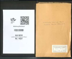 Bittschriften aus der Stadt Ahrweiler, Kanton Rheinbach