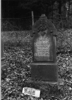 Grabstein 273