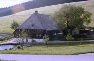 Triberg: Moderner Bauernhof mit Teich davor