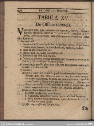 Tabula XV. De Ossibus thoracis