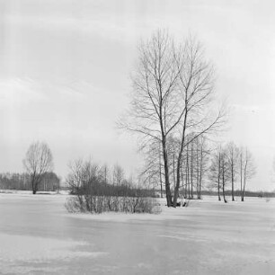 Landschaftsbild. Winter im Spreewald. : Wobraz krajiny. Zyma w Błótach.
