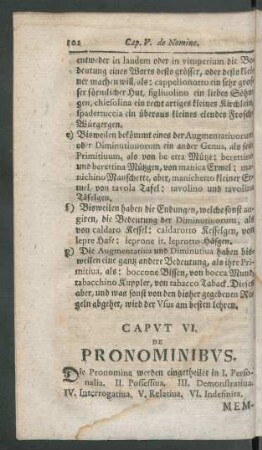 Caput VI. De Pronominibus