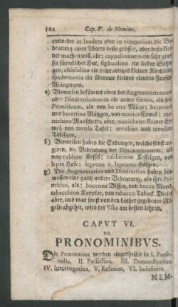 Caput VI. De Pronominibus