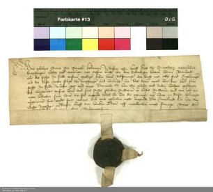 Revers Philipps Graf von Rieneck bezüglich der Belehnung mit dem Dorf Wolfsmünster durch Reinhard [von Weilnau], Abt von Fulda