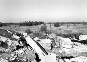 Ehemaliger Truppenübungplatz Königsbrück. Köngisbrücker Heide, gesprenkter Bunker