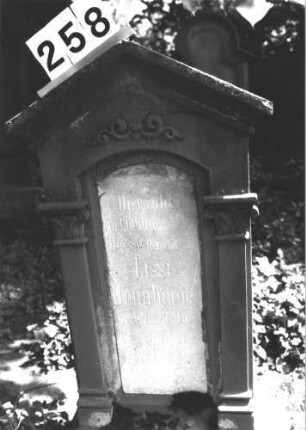 Grabstein 258 (Index: 100082234) Material: Sandstein, weiße Marmorplatte Zustand: leicht verwittert Maße HxBxT: 108x57x32 cm Beschreibung: ädikulaart. St. m. Pfeil. , giebelart. Abschl. m. Verdach. , Schriftplat. m. Segmentbog. absc Symbolik: Ranke: Grabstein 258